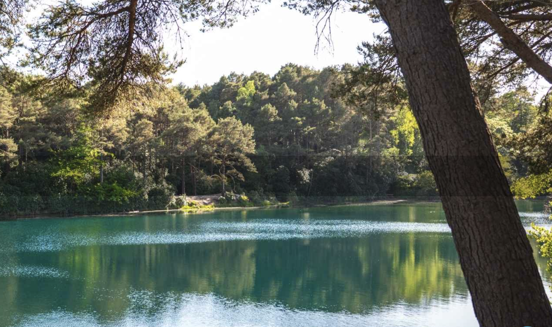 The Blue Pool lake with pine trees reflected in the turquoise water