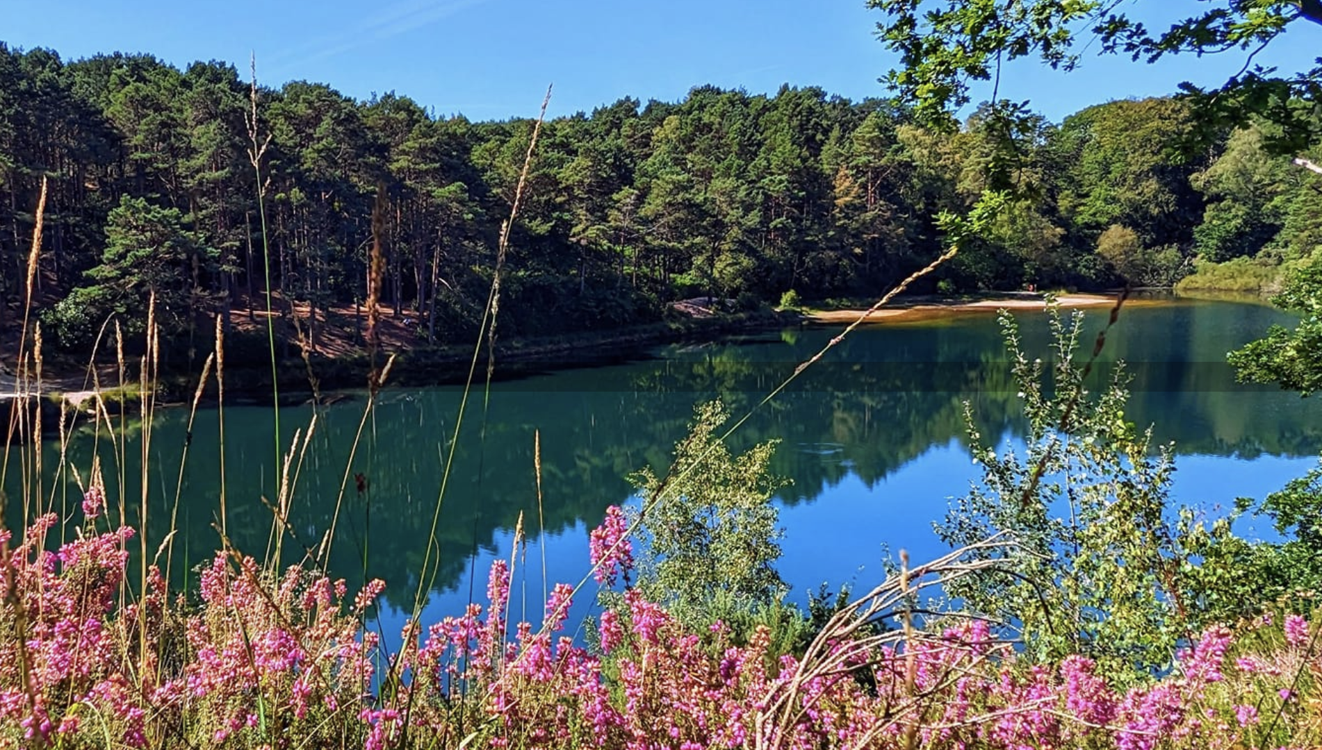 The Blue Pool lake with wildflowers and heather in the foreground