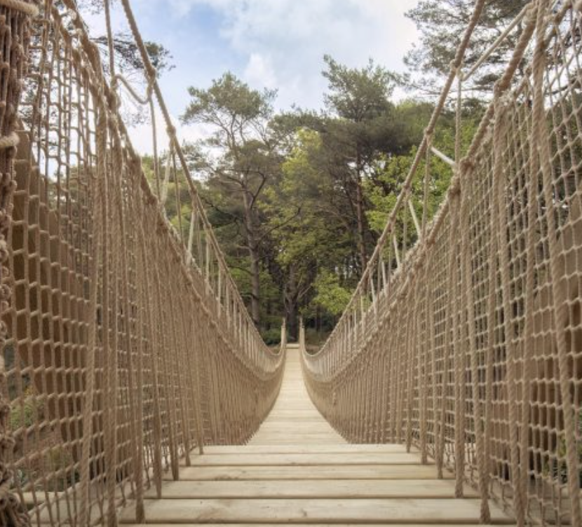 Looking through the UK's longest rope bridge at Blue Pool
