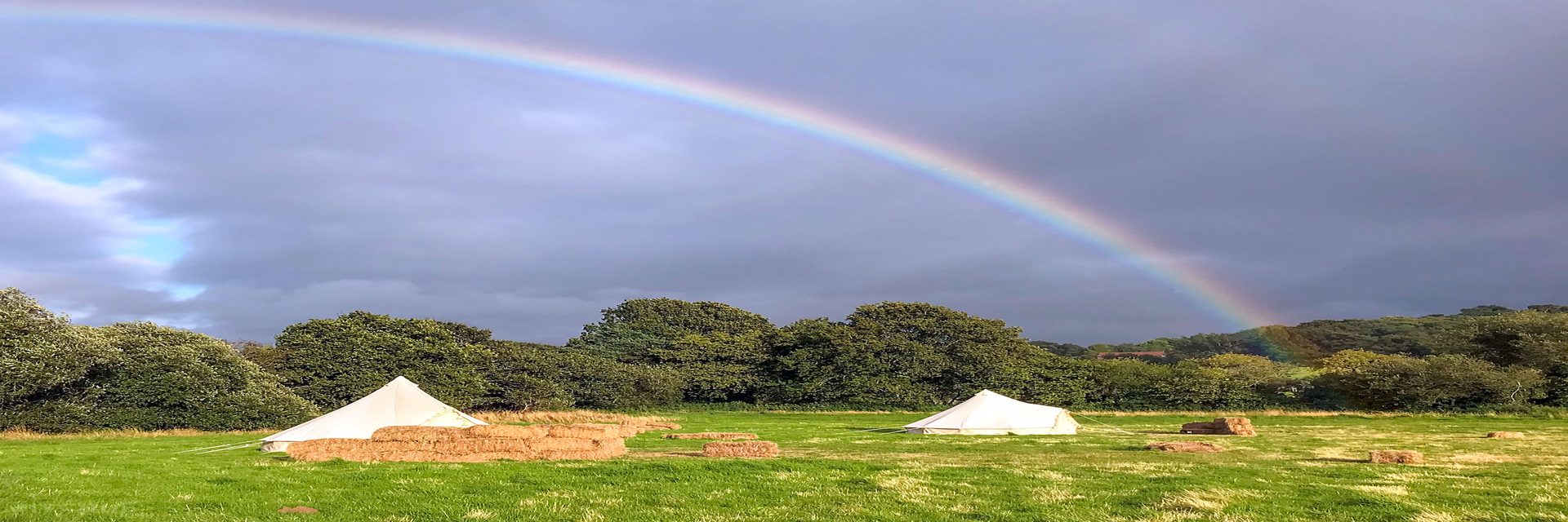 Camping & Glamping in Dorset